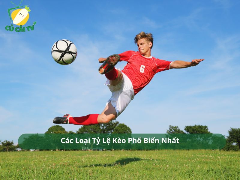 Các Loại Tỷ Lệ Kèo Phổ Biến Nhất