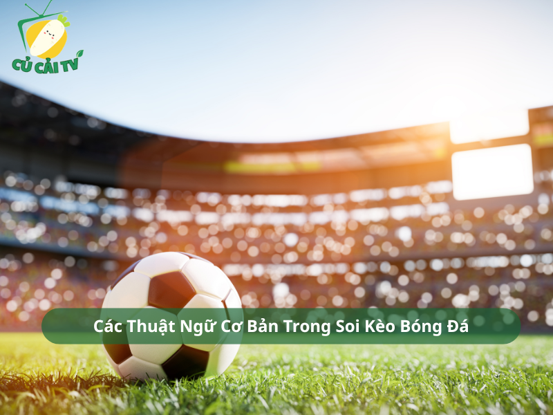 Các Thuật Ngữ Cơ Bản Trong Soi Kèo Bóng Đá