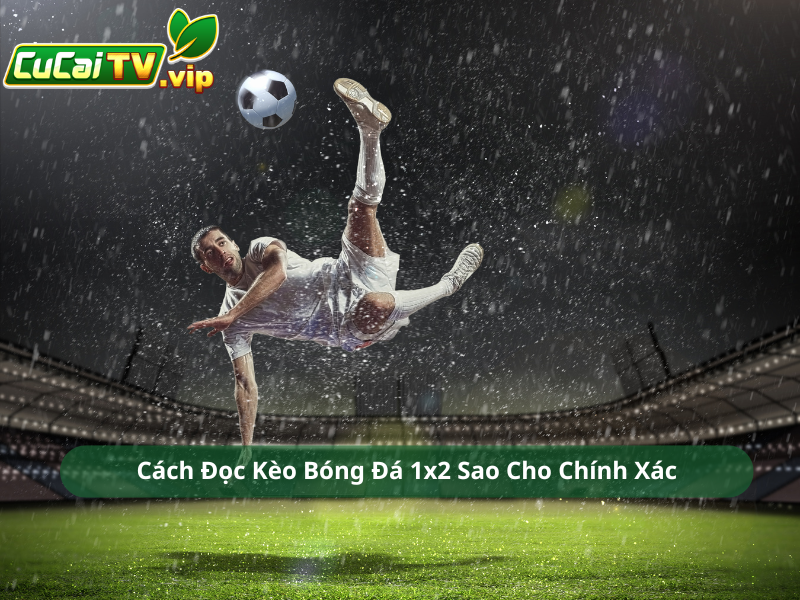Cách Đọc Kèo Bóng Đá 1x2 Sao Cho Chính Xác