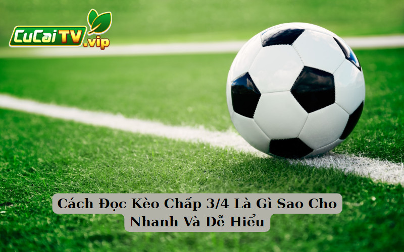 Cách Đọc Kèo Chấp 3/4 Là Gì Sao Cho Nhanh Và Dễ Hiểu