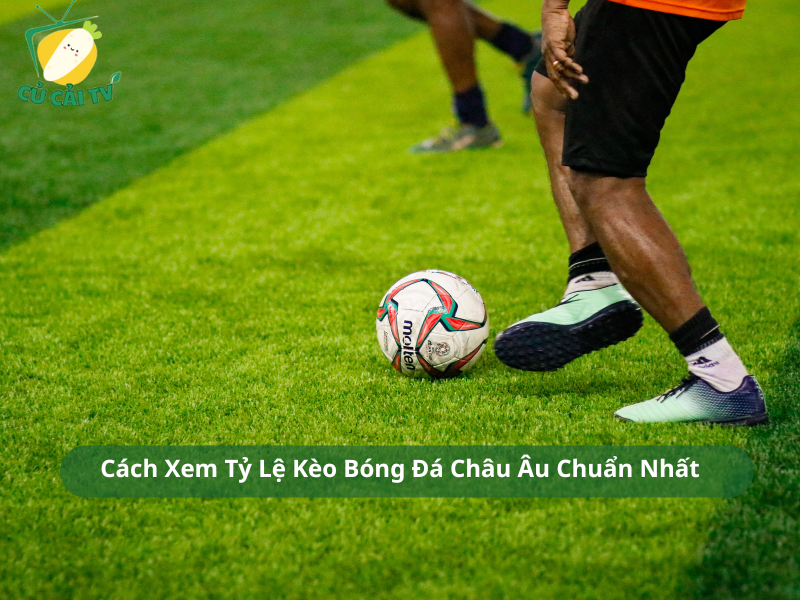 Cách Xem Tỷ Lệ Kèo Bóng Đá Châu Âu Chuẩn Nhất