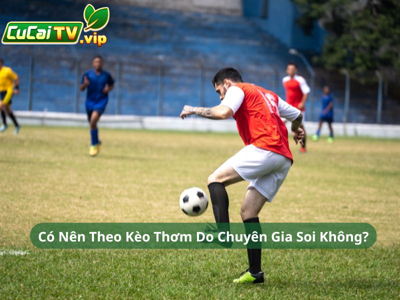 Có Nên Theo Kèo Thơm Do Chuyên Gia Soi Không?