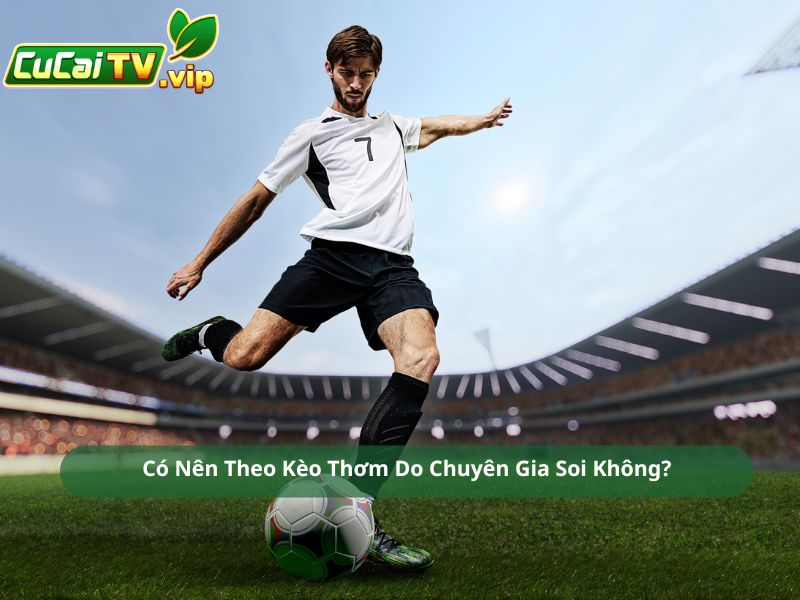 Có Nên Theo Kèo Thơm Do Chuyên Gia Soi Không?
