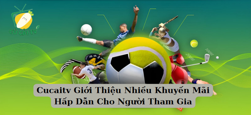 Cucaitv Giới Thiệu Nhiều Khuyến Mãi Hấp Dẫn Cho Người Tham Gia