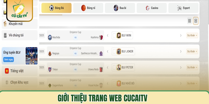 Thông tin giới thiệu CucaiTV