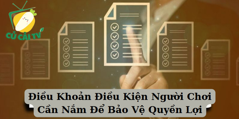Điều Khoản Điều Kiện Người Chơi Cần Nắm Để Bảo Vệ Quyền Lợi
