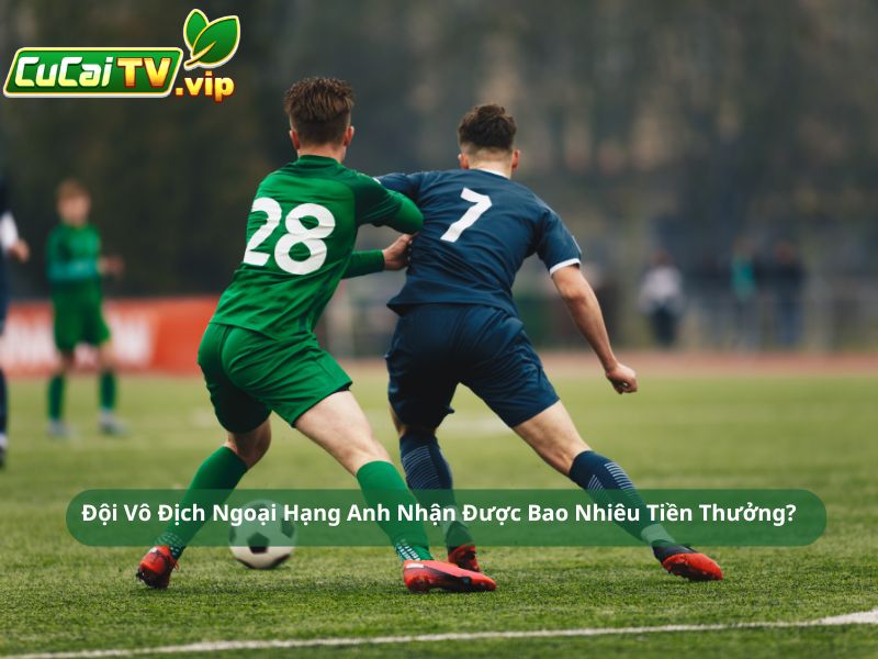 Đội Vô Địch Ngoại Hạng Anh Nhận Được Bao Nhiêu Tiền Thưởng?