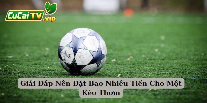 Giải Đáp Nên Đặt Bao Nhiêu Tiền Cho Một Kèo Thơm