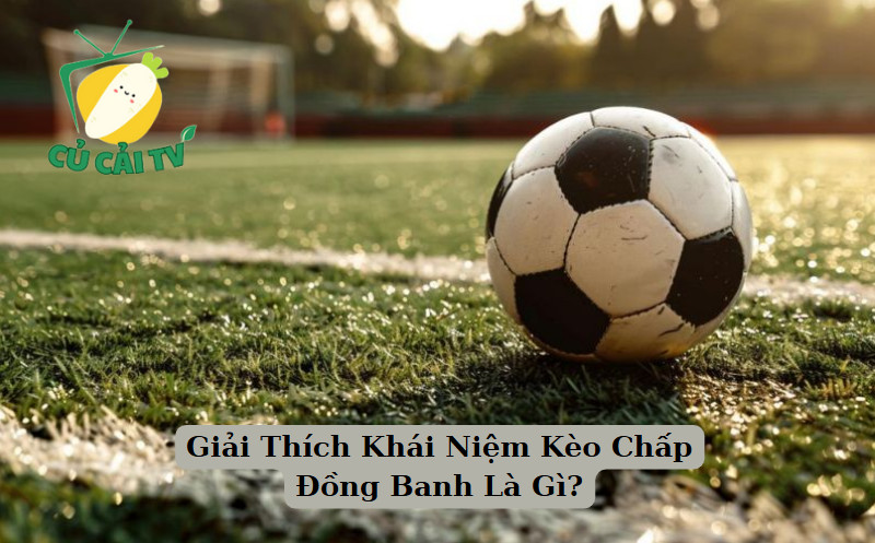 Giải Thích Khái Niệm Kèo Chấp Đồng Banh Là Gì?