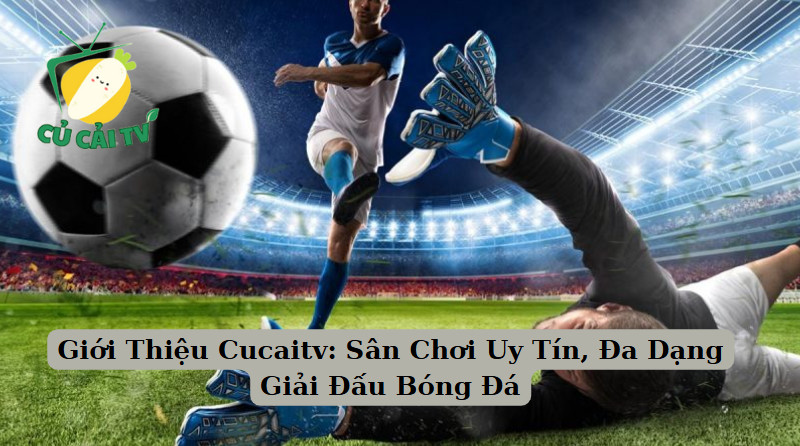 Giới Thiệu Cucaitv: Sân Chơi Uy Tín, Đa Dạng Giải Đấu Bóng Đá