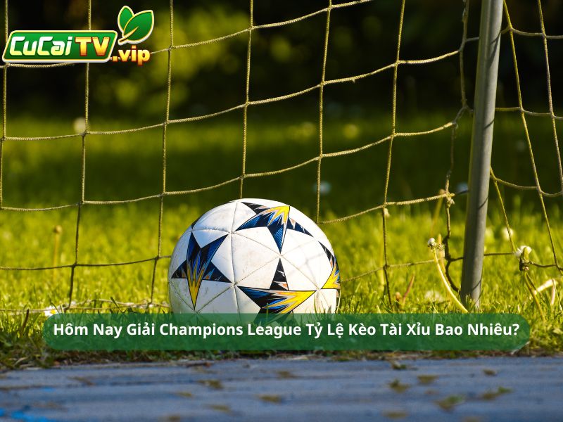 Hôm Nay Giải Champions League Tỷ Lệ Kèo Tài Xỉu Bao Nhiêu?