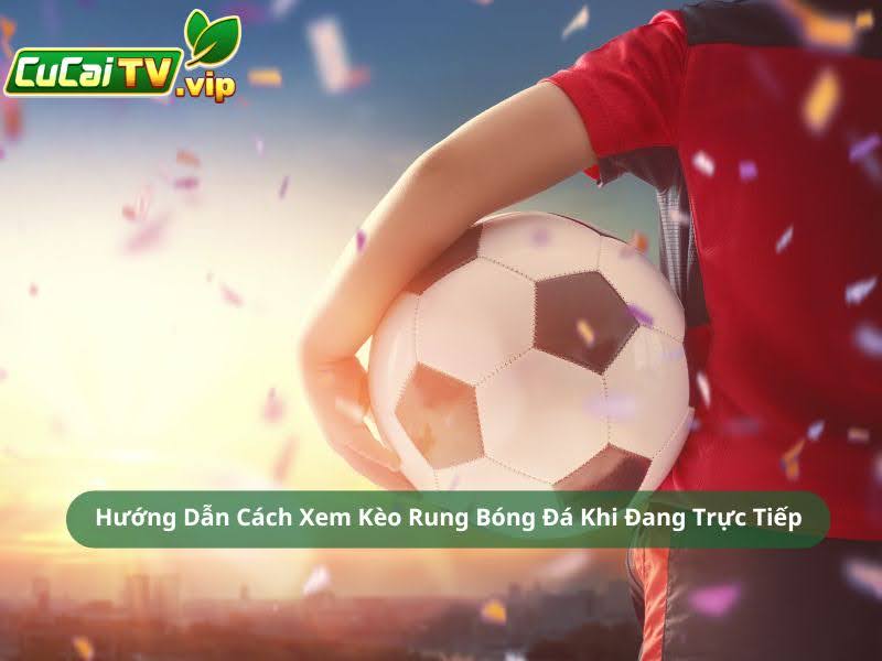 Hướng Dẫn Cách Xem Kèo Rung Bóng Đá Khi Đang Trực Tiếp