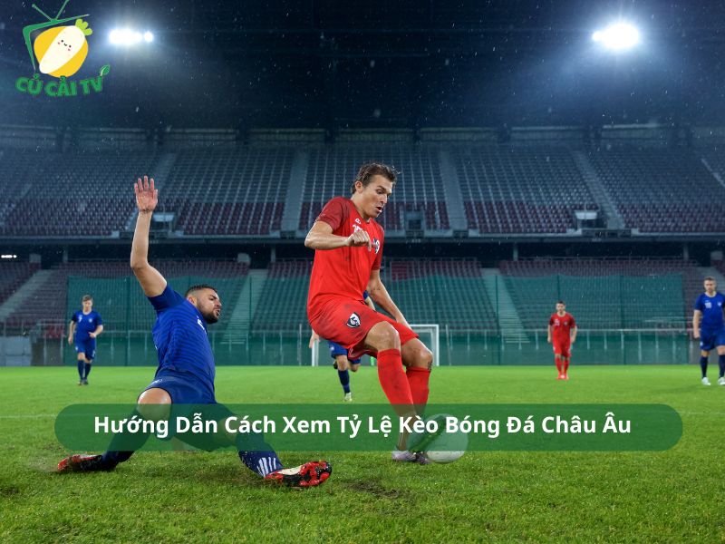 Hướng Dẫn Cách Xem Tỷ Lệ Kèo Bóng Đá Châu Âu