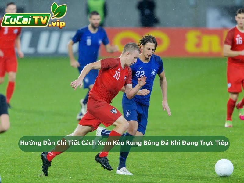 Hướng Dẫn Người Mới Cách Xem Kèo Rung Bóng Đá Khi Đang Trực Tiếp