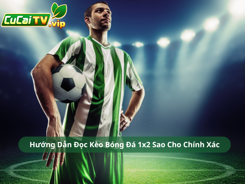 Hướng Dẫn Đọc Kèo Bóng Đá 1x2 Sao Cho Chính Xác