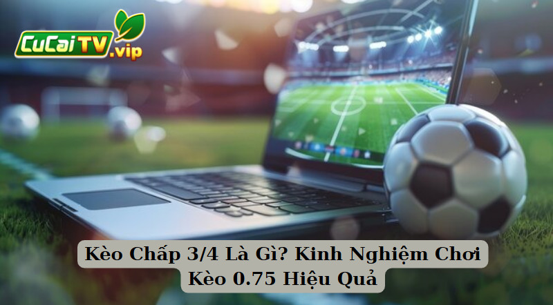 Kèo Chấp 3/4 Là Gì? Kinh Nghiệm Chơi Kèo 0.75 Hiệu Quả