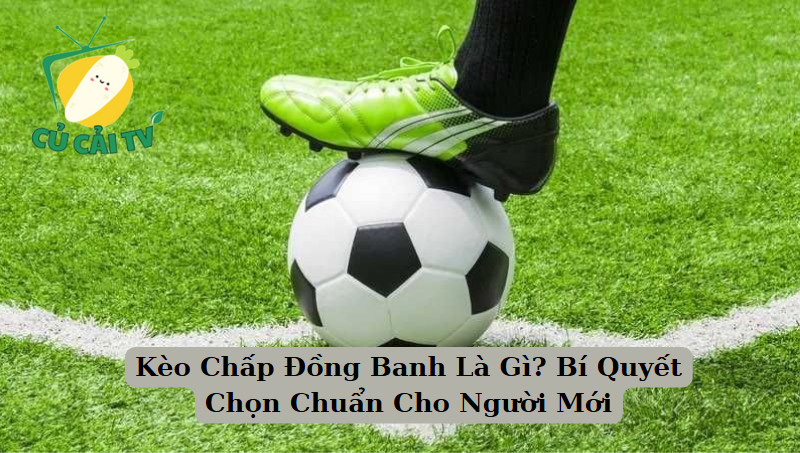 Kèo Chấp Đồng Banh Là Gì? Bí Quyết Chọn Chuẩn Cho Người Mới