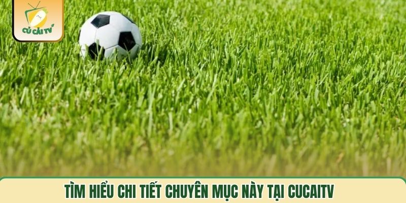 Tìm hiểu chi tiết chuyên mục này tại Cucaitv