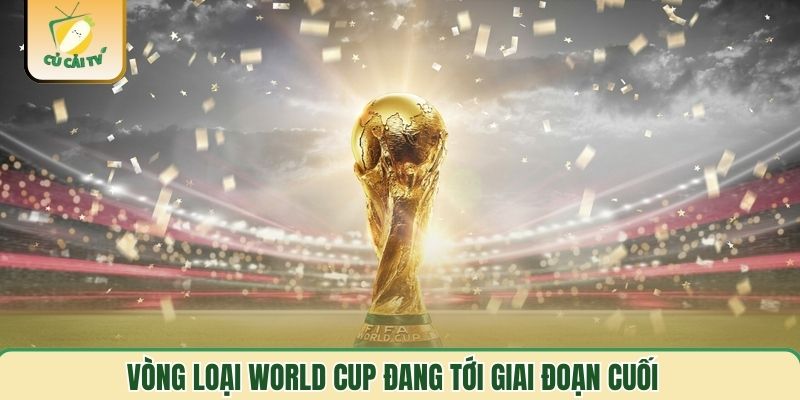 Vòng loại World Cup đang tới giai đoạn cuối