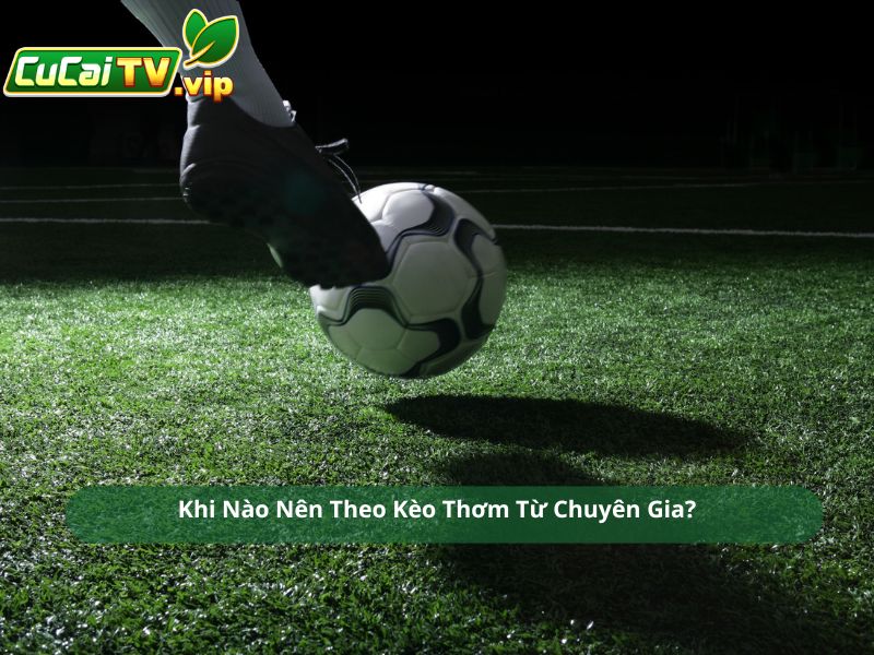 Khi Nào Nên Theo Kèo Thơm Từ Chuyên Gia?