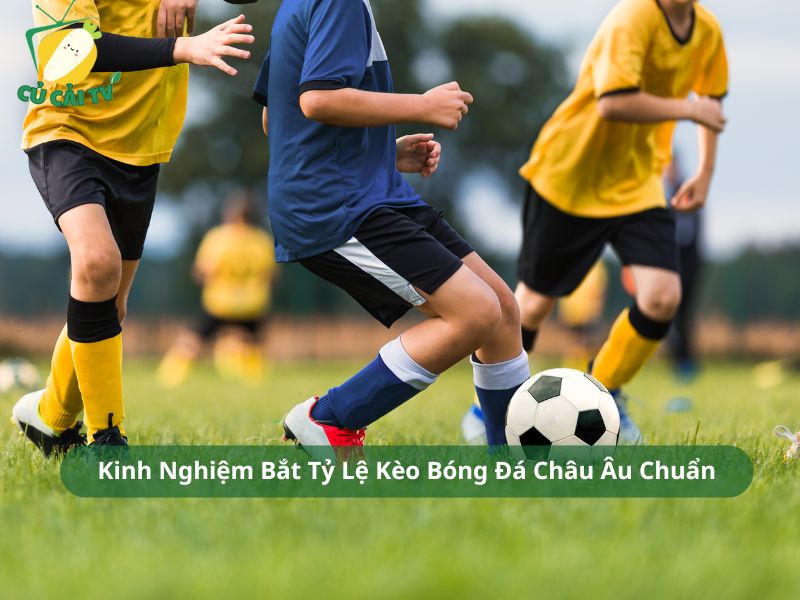 Kinh Nghiệm Bắt Tỷ Lệ Kèo Bóng Đá Châu Âu Chuẩn