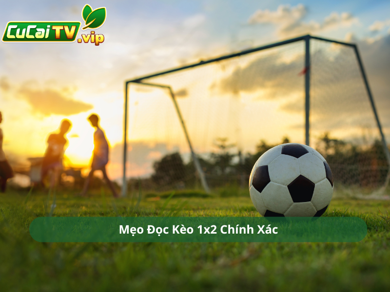 Mẹo Đọc Kèo 1x2 Chính Xác