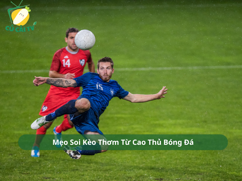 Mẹo Soi Kèo Thơm Từ Cao Thủ Bóng Đá