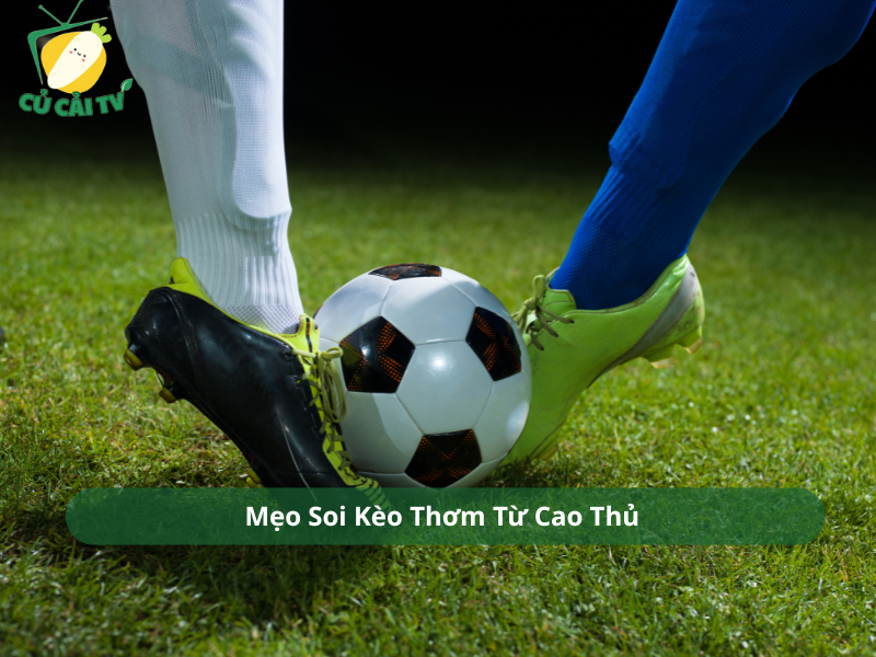 Mẹo Soi Kèo Thơm Từ Cao Thủ 