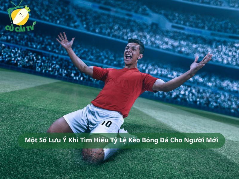Một Số Lưu Ý Khi Tìm Hiểu Tỷ Lệ Kèo Bóng Đá Cho Người Mới