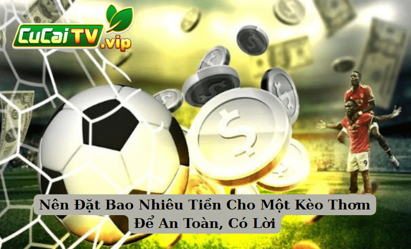 Nên Đặt Bao Nhiêu Tiền Cho Một Kèo Thơm Để An Toàn, Có Lời