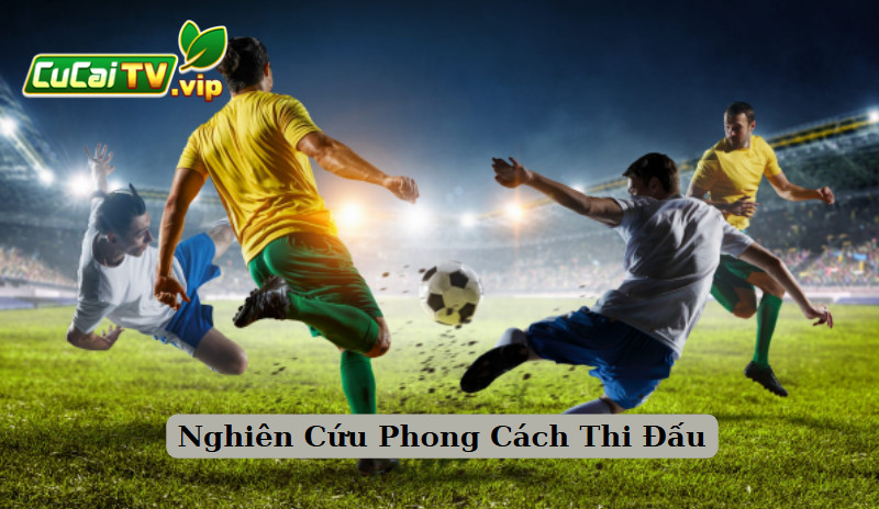 Nghiên Cứu Phong Cách Thi Đấu