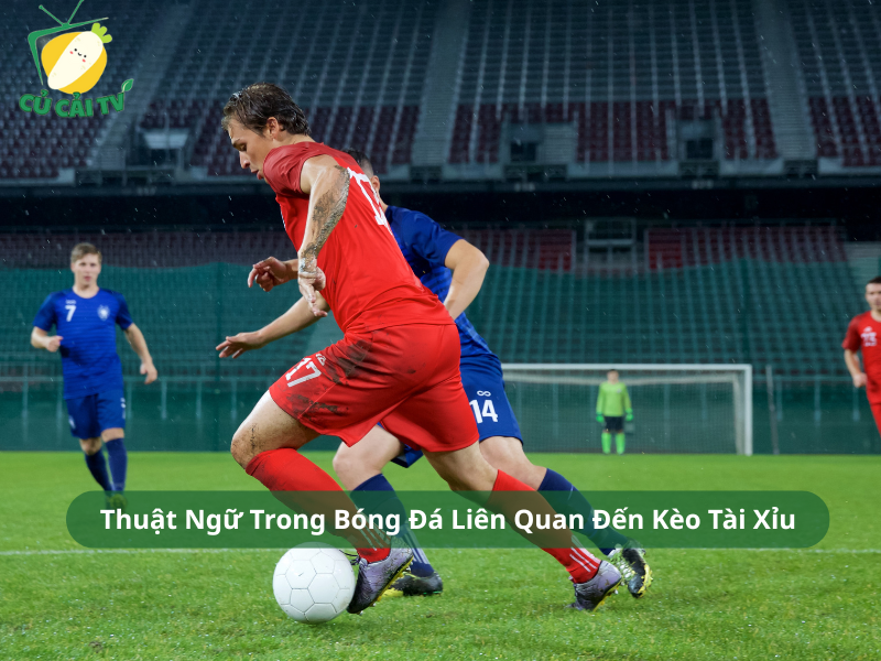 Thuật Ngữ Trong Bóng Đá Liên Quan Đến Kèo Tài Xỉu