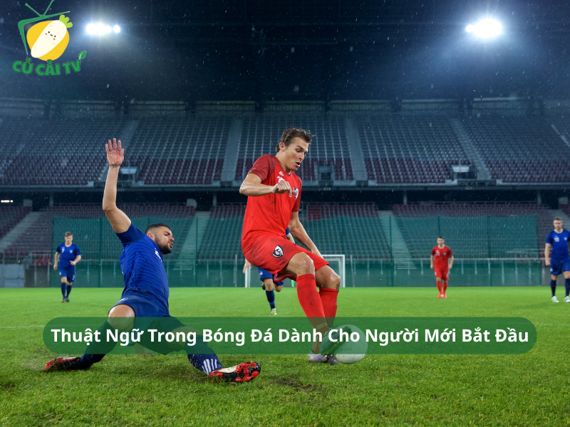 Thuật Ngữ Trong Bóng Đá Dành Cho Người Mới Bắt Đầu