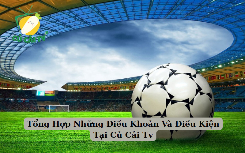 Tổng Hợp Những Điều Khoản Và Điều Kiện Tại Củ Cải Tv
