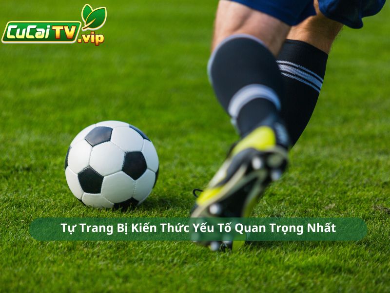 Tự Trang Bị Kiến Thức Yếu Tố Quan Trọng Nhất