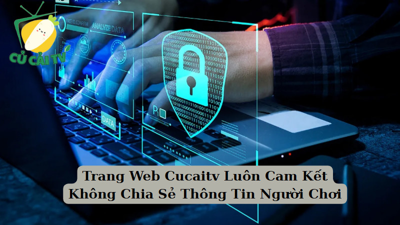 Trang Web Cucaitv Luôn Cam Kết Không Chia Sẻ Thông Tin Người Chơi
