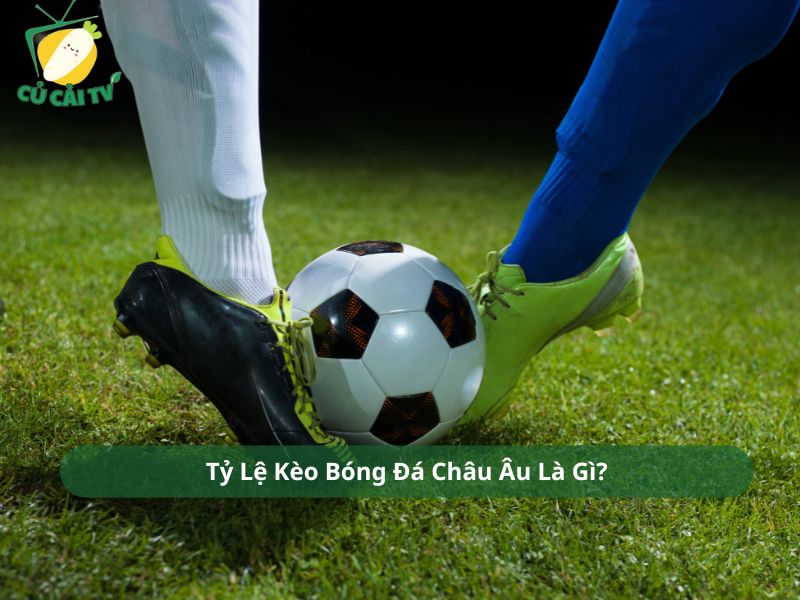 Tỷ Lệ Kèo Bóng Đá Châu Âu Là Gì?