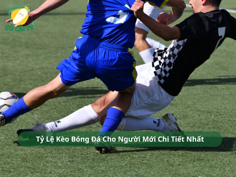 Tỷ Lệ Kèo Bóng Đá Cho Người Mới Chi Tiết Nhất