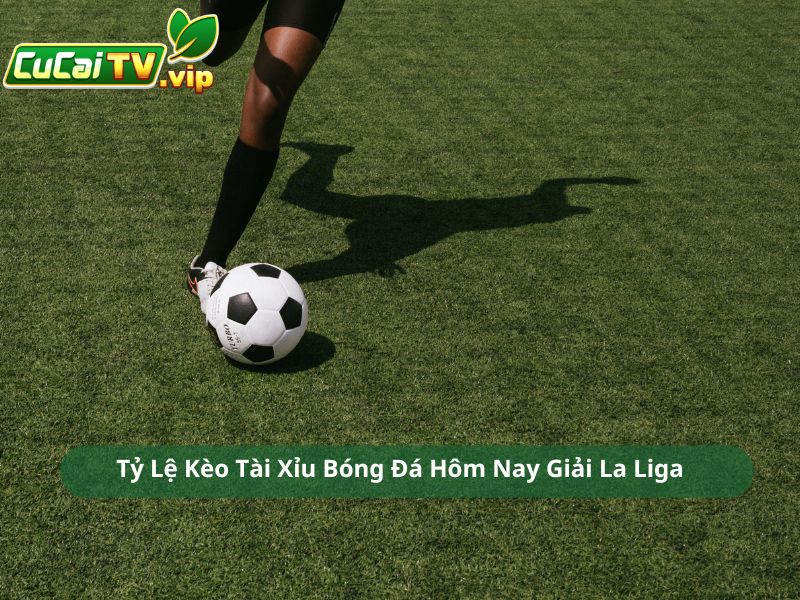 Tỷ Lệ Kèo Tài Xỉu Bóng Đá Hôm Nay Giải La Liga