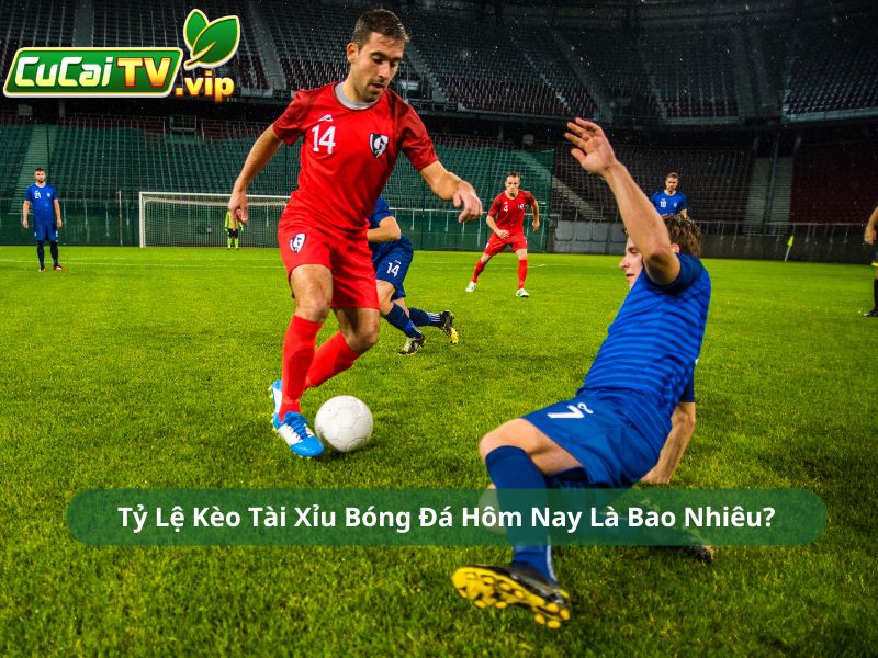 Tỷ Lệ Kèo Tài Xỉu Bóng Đá Hôm Nay Là Bao Nhiêu?