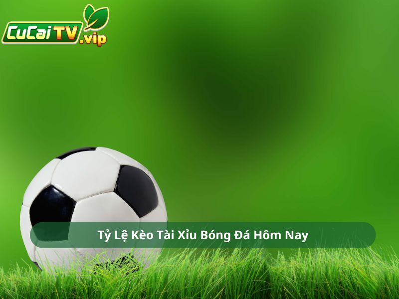 Tỷ Lệ Kèo Tài Xỉu Bóng Đá Hôm Nay Là Bao Nhiêu?