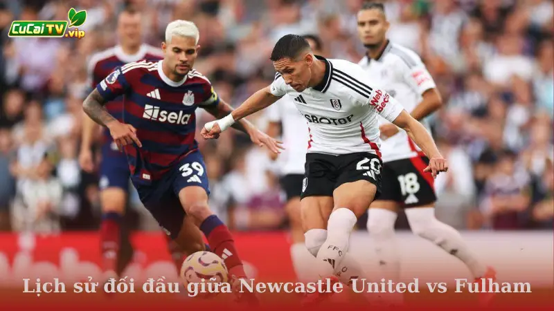 Lịch sử đối đầu giữa Newcastle United vs Fulham