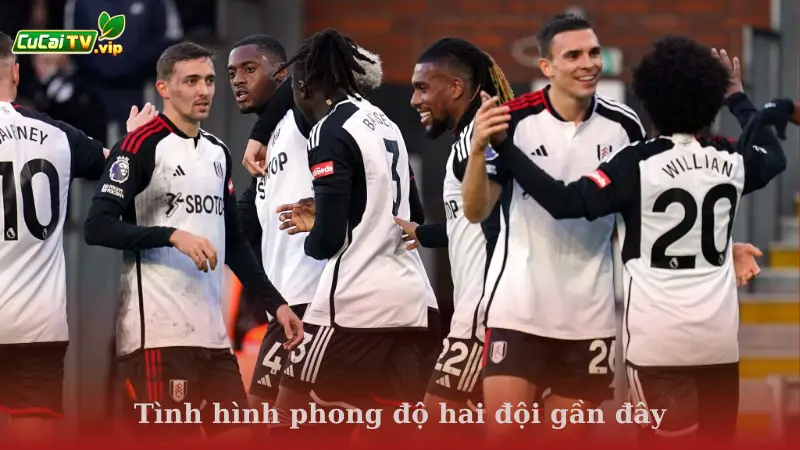 Phong độ của Newcastle United vs Fulham gần đây